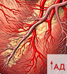 Курс при заболеваниях сосудов для людей с повышенным артериальным давлением
 Объем: 12 товаров

